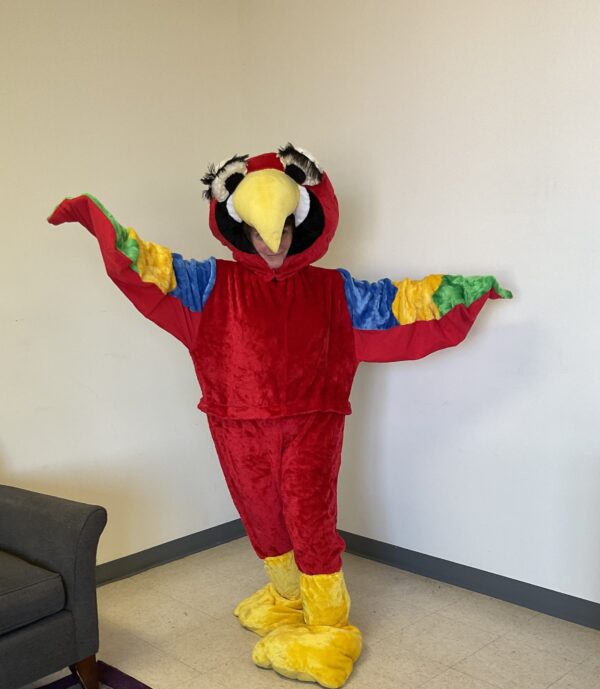 Iago Parrot Suit - Image 2