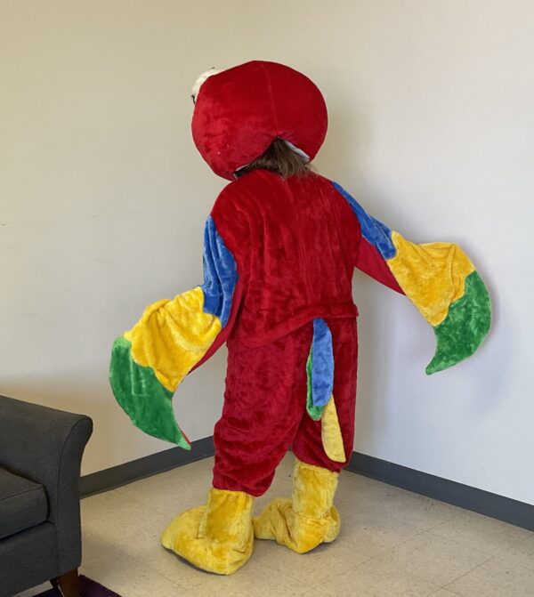 Iago Parrot Suit - Image 4
