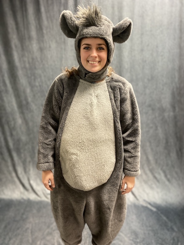 Baloo the Bear Jungle Book The Magical Wardrobe Formally Costume Gallery