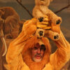 Lion Mascot - Image 2