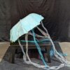 Jellyfish Nemo - Image 2