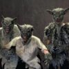 Wolf - Image 2