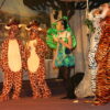 Peacock - Image 3