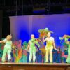 Turtle Ensemble Puppet - Image 3