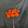 Coral Reef and Eggs Props - Image 2