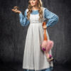 alice hero