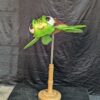 Squirt Puppet - Image 2